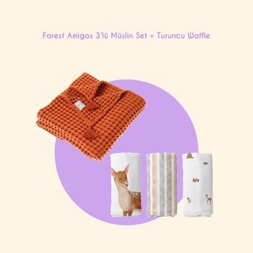 Forest Amigos Collection Gift Set